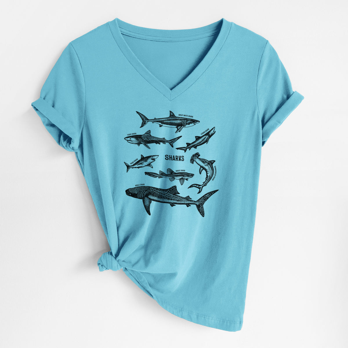 Turquoise women's relaxed fit cotton V-neck t-shirt laid flat, printed with a chart of black ink shark illustrations, including a whale shark, hammerhead and great white.