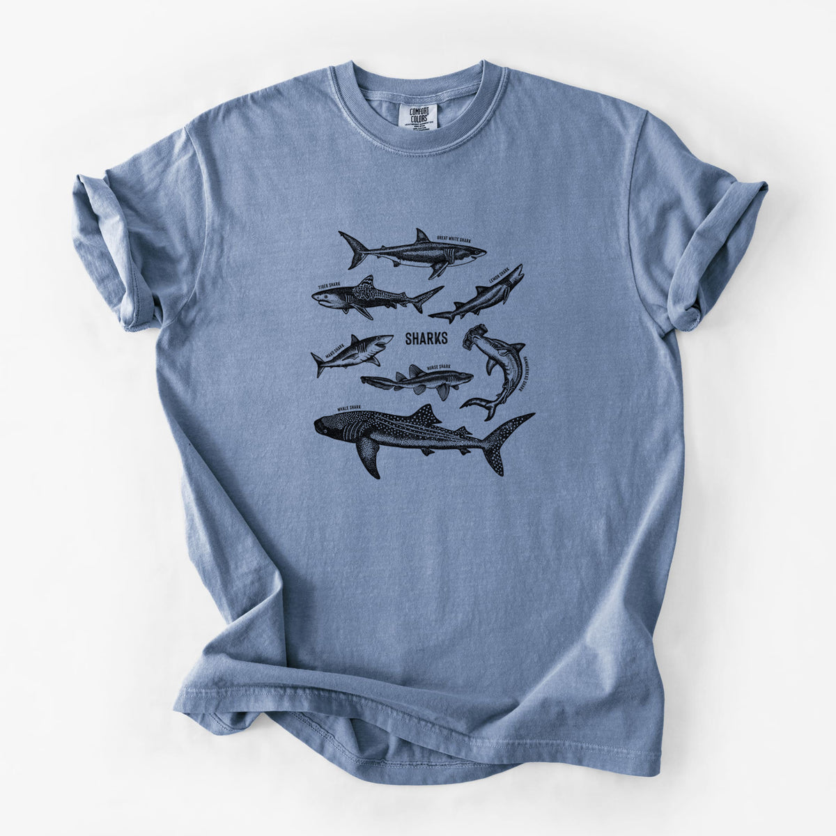 Blue jean Comfort Colors t-shirt laid flat, printed with a chart of black ink shark illustrations, including a whale shark, hammerhead and great white.