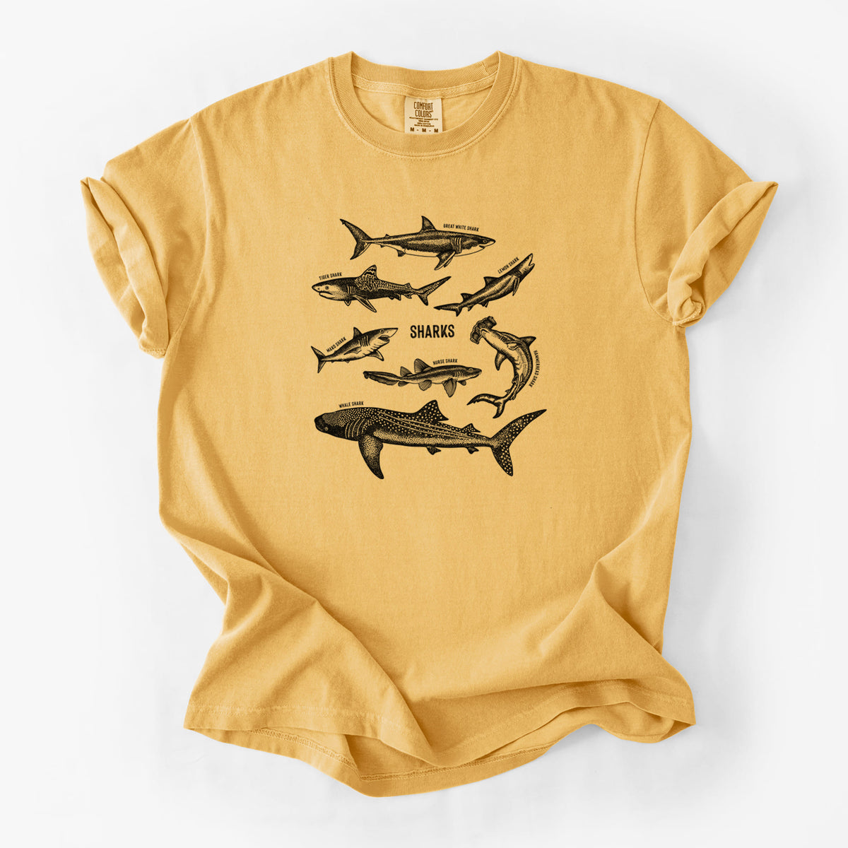 Golden wheat yellow Comfort Colors t-shirt laid flat, printed with a chart of black ink shark illustrations, including a whale shark, hammerhead and great white.