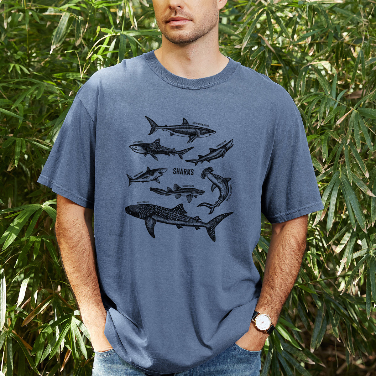 Man wearing a Comfort Colors t-shirt printed with a chart of black ink shark illustrations, including a whale shark, hammerhead and great white, outdoors.