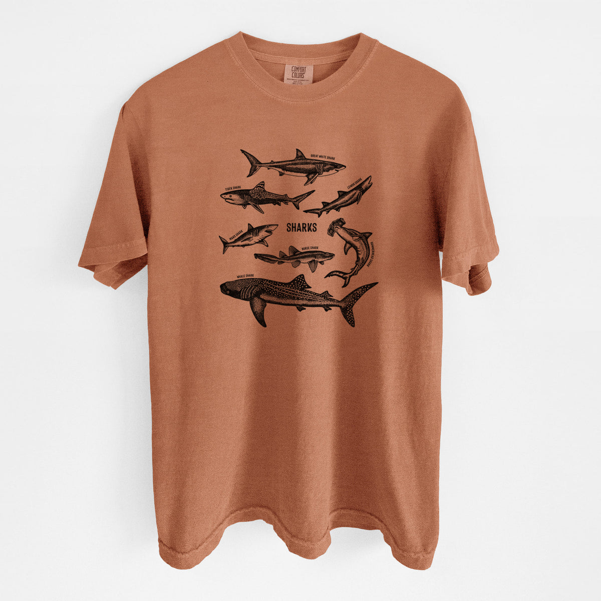 Yam burnt orange Comfort Colors t-shirt laid flat, printed with a chart of black ink shark illustrations, including a whale shark, hammerhead and great white.