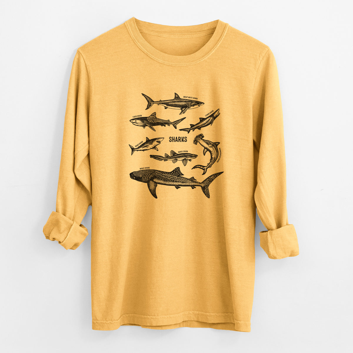 Golden wheat yellow Comfort Colors long sleeve shirt laid flat with the cuffs rolled, printed with a chart of black ink shark illustrations, including a whale shark, hammerhead and great white.