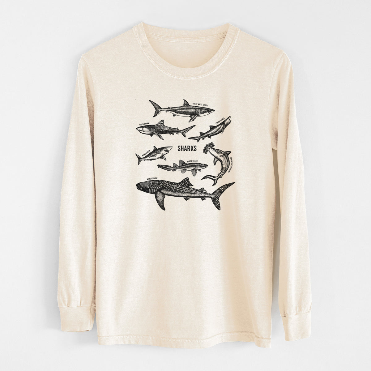 Ivory Comfort Colors long sleeve shirt laid flat, printed with a chart of black ink shark illustrations, including a whale shark, hammerhead and great white.