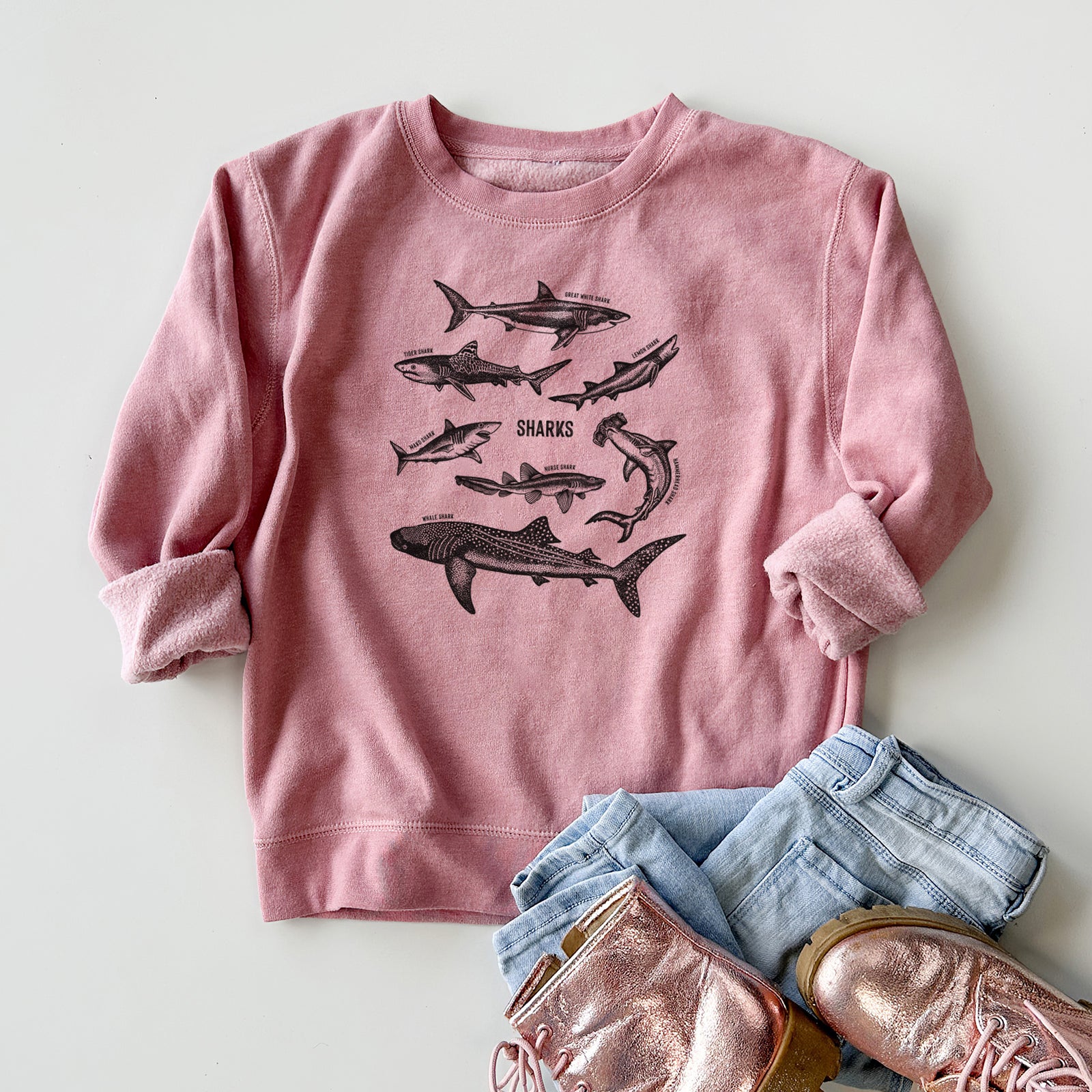 Boy wearing a youth crewneck sweatshirt printed with a chart of black ink shark illustrations, including a whale shark, hammerhead and great white, outdoors.