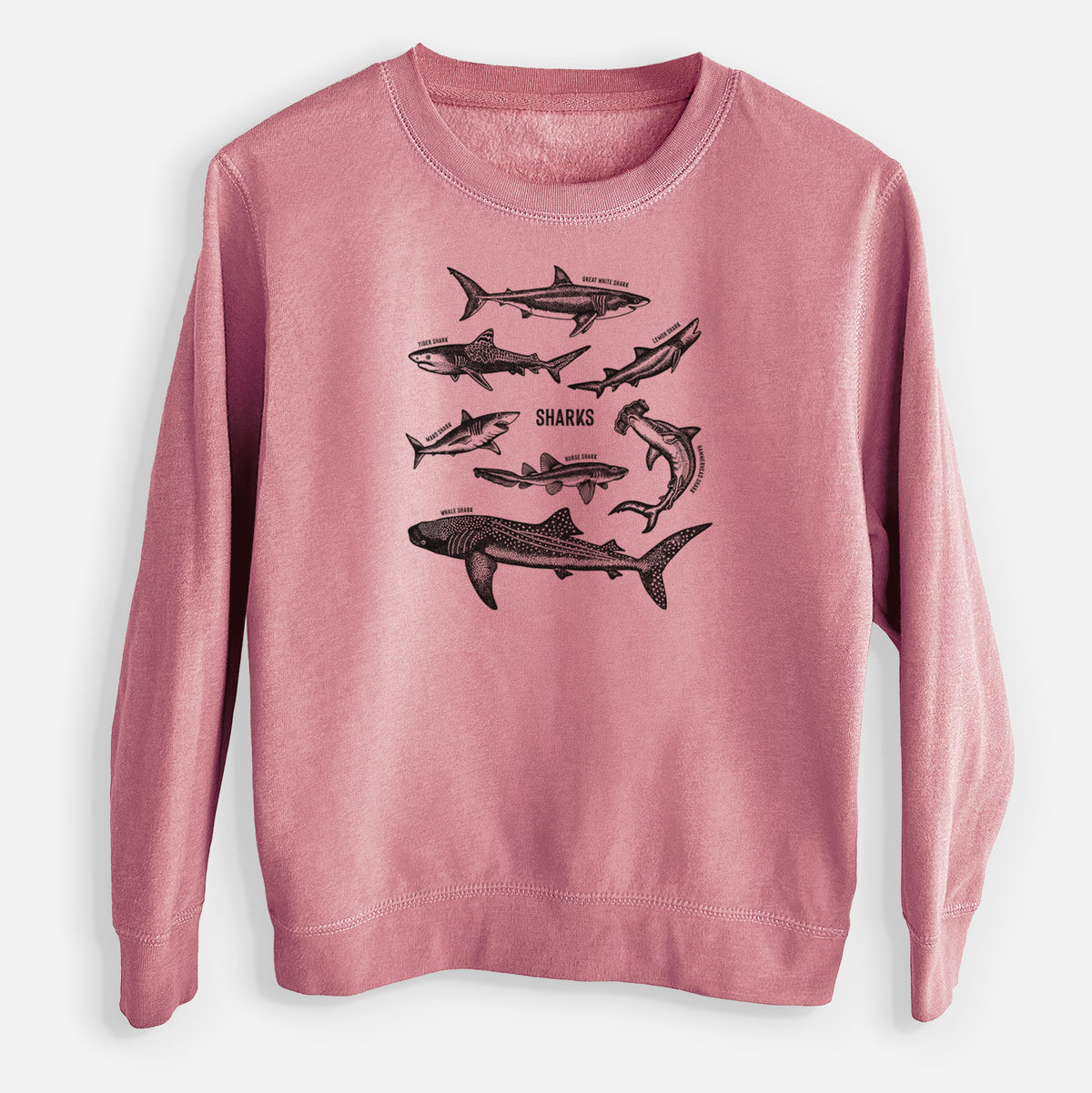 Mauve pink youth crewneck sweatshirt laid flat, printed with a chart of black ink shark illustrations, including a whale shark, hammerhead and great white.