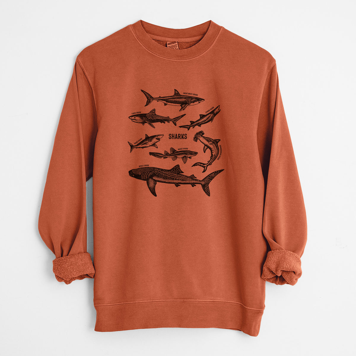 Amber orange pigment dyed crewneck sweatshirt laid flat with the sleeves rolled, printed with a chart of black ink shark illustrations, including a whale shark, hammerhead and great white.