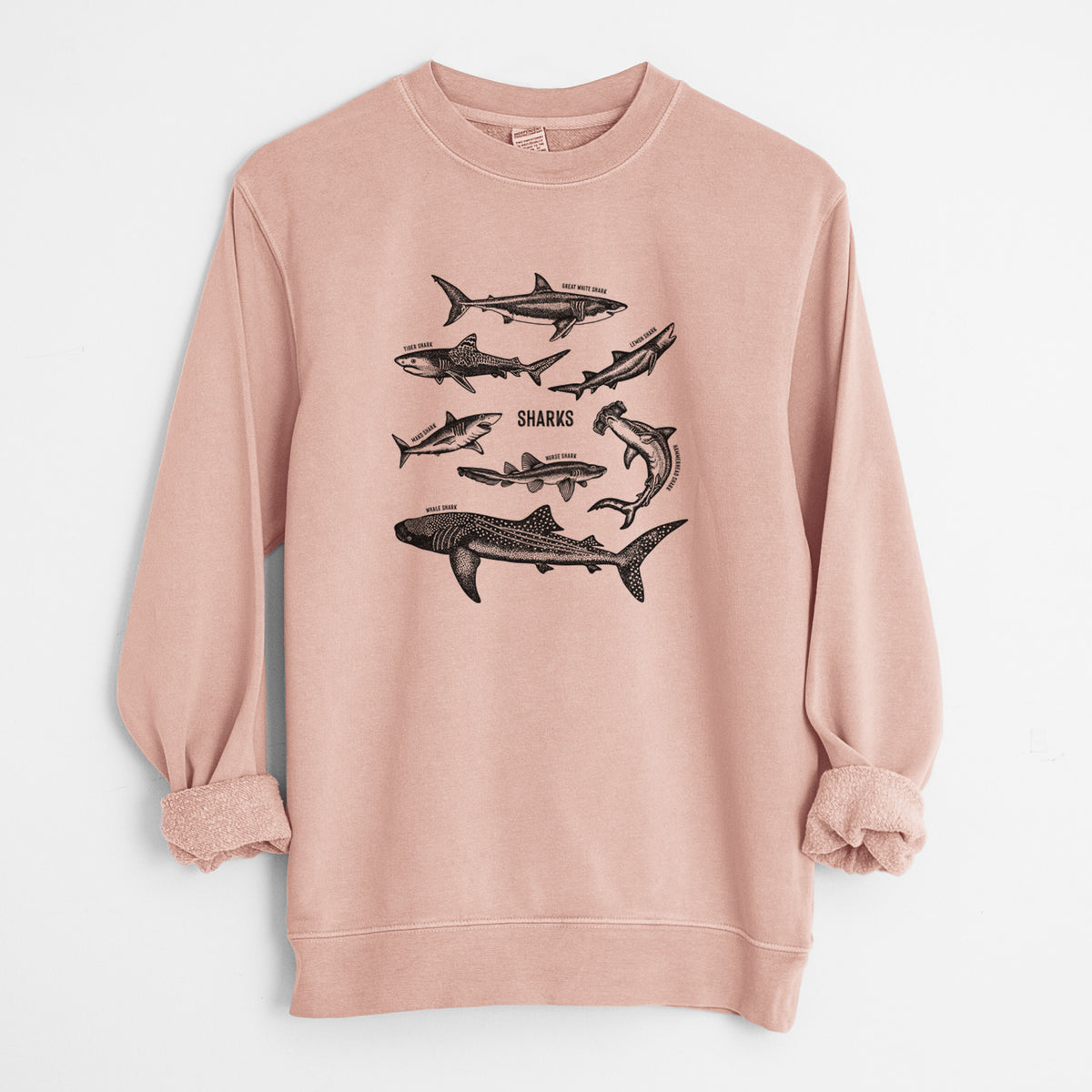 Dusty pink pigment dyed crewneck sweatshirt laid flat with the sleeves rolled, printed with a chart of black ink shark illustrations, including a whale shark, hammerhead and great white.