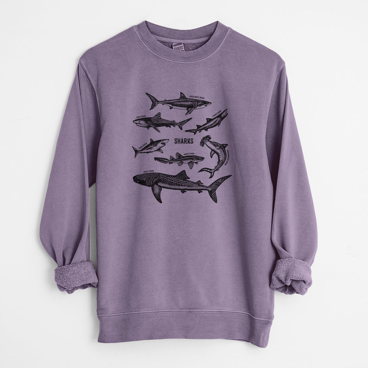 Plum purple pigment dyed crewneck sweatshirt laid flat with the sleeves rolled, printed with a chart of black ink shark illustrations, including a whale shark, hammerhead and great white.