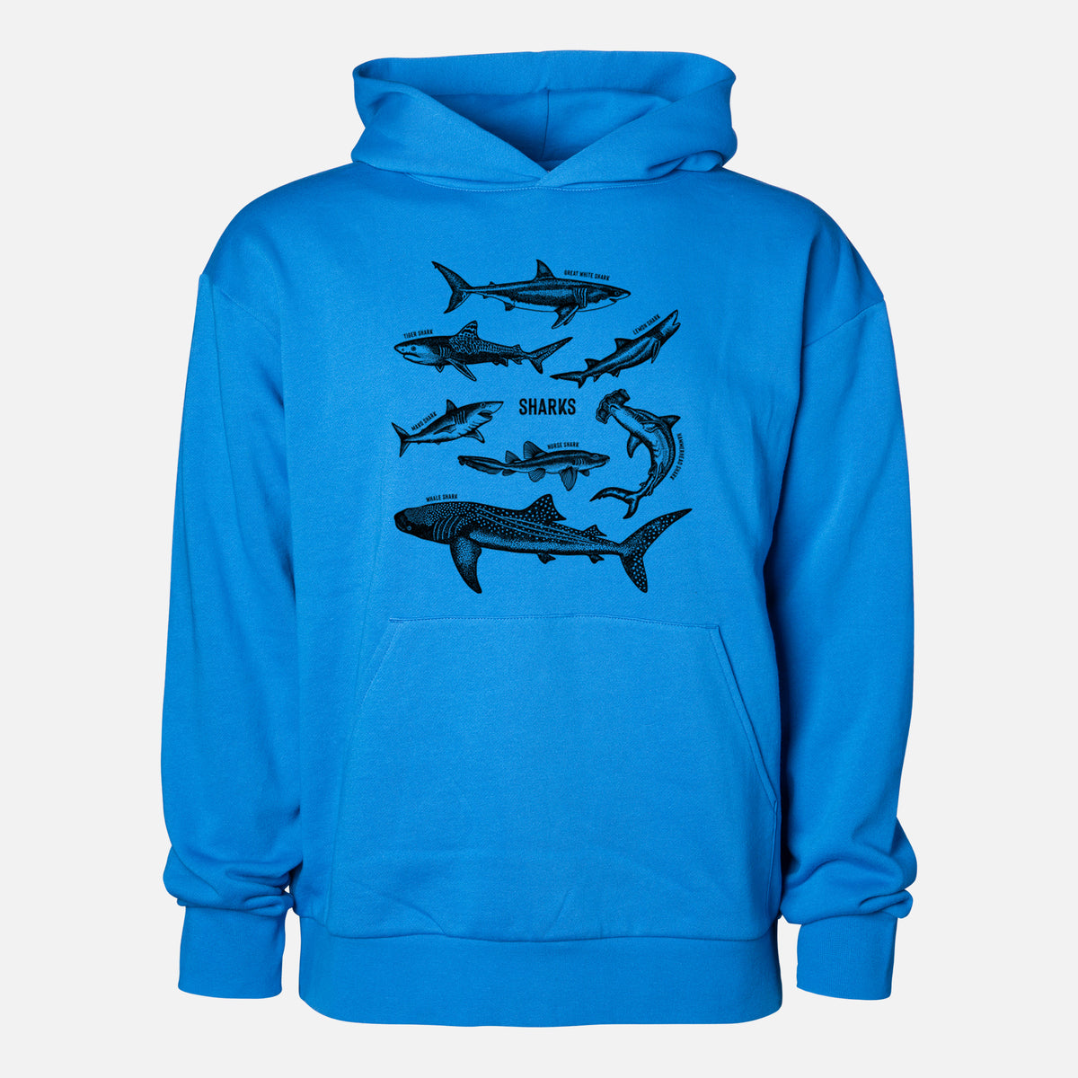 Shark Chart - Statement Midweight Hoodie in Azure Blue, shown from the front with the design printed on the chest above a front kangaroo pocket.