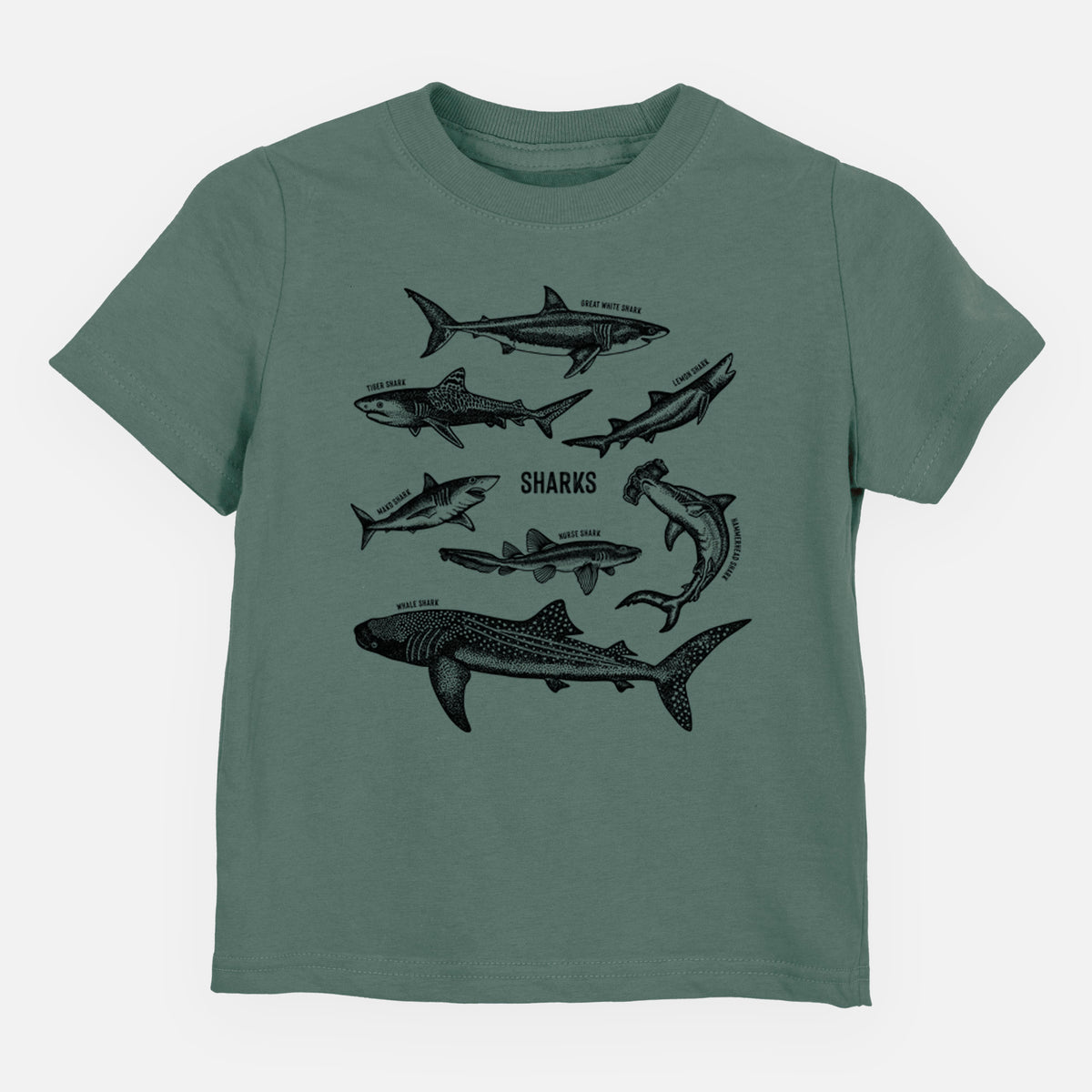 Basil green toddler t-shirt laid flat, printed with a chart of black ink shark illustrations, including a whale shark, hammerhead and great white.