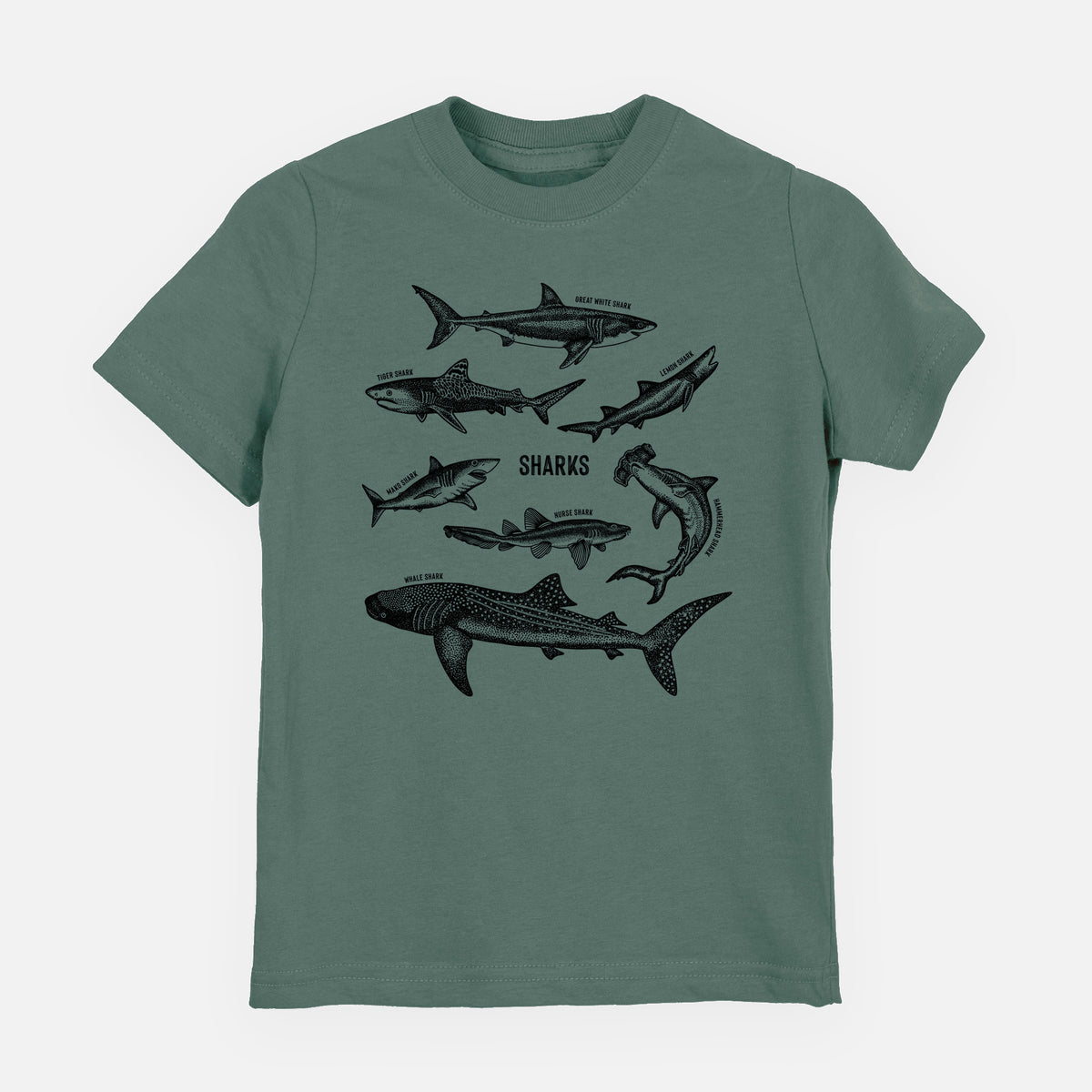 Basil green youth t-shirt laid flat, printed with a chart of black ink shark illustrations, including a whale shark, hammerhead and great white.