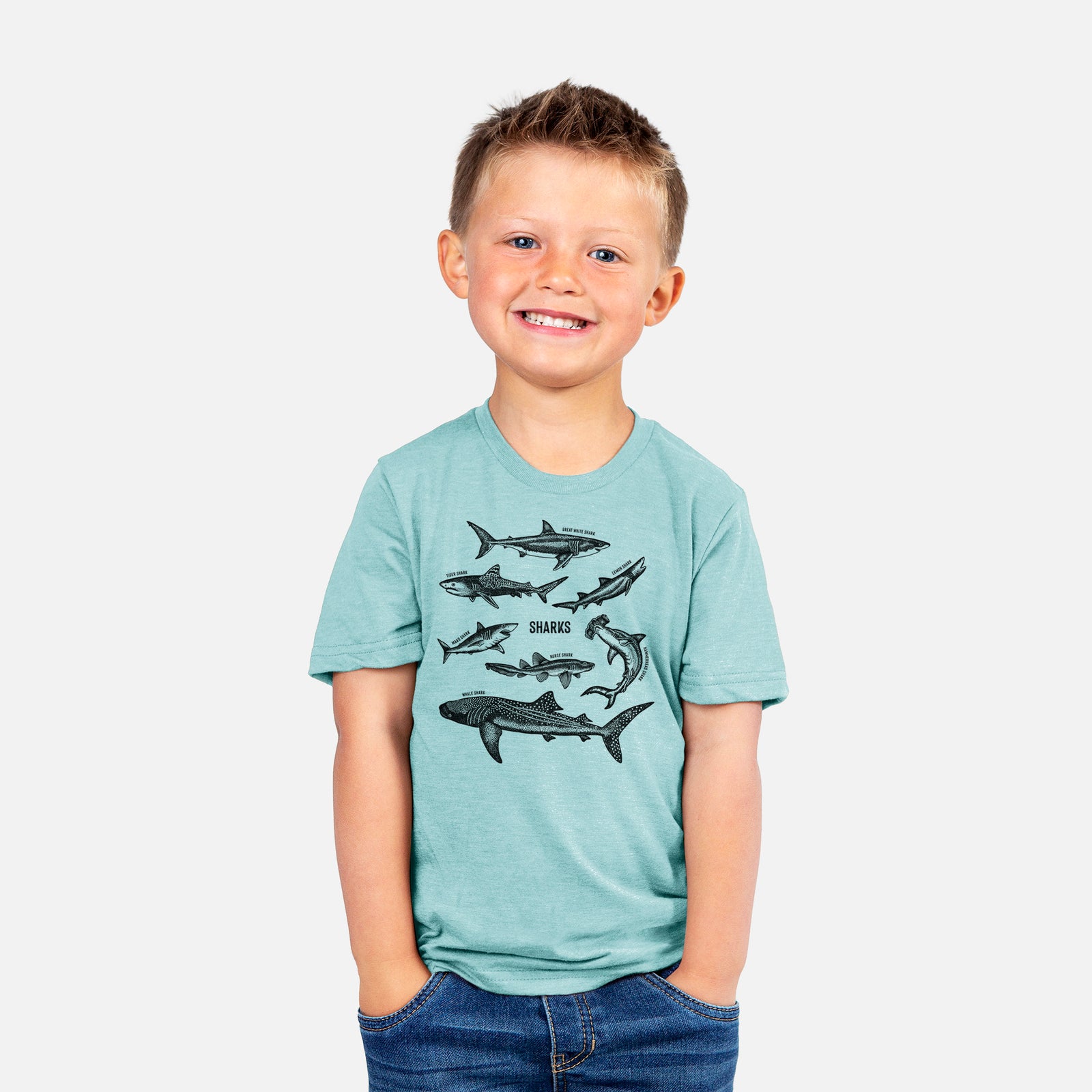Two youth t-shirts in different colors on hangers, printed with a chart of black ink shark illustrations, including a whale shark, hammerhead and great white.