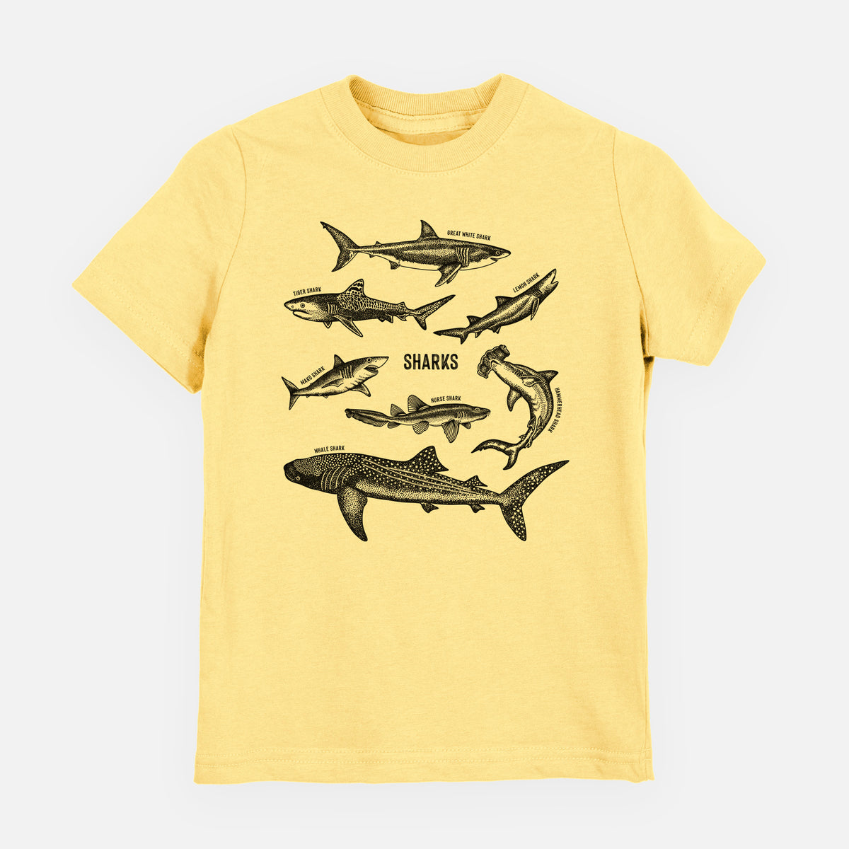 Butter yellow youth t-shirt laid flat, printed with a chart of black ink shark illustrations, including a whale shark, hammerhead and great white.