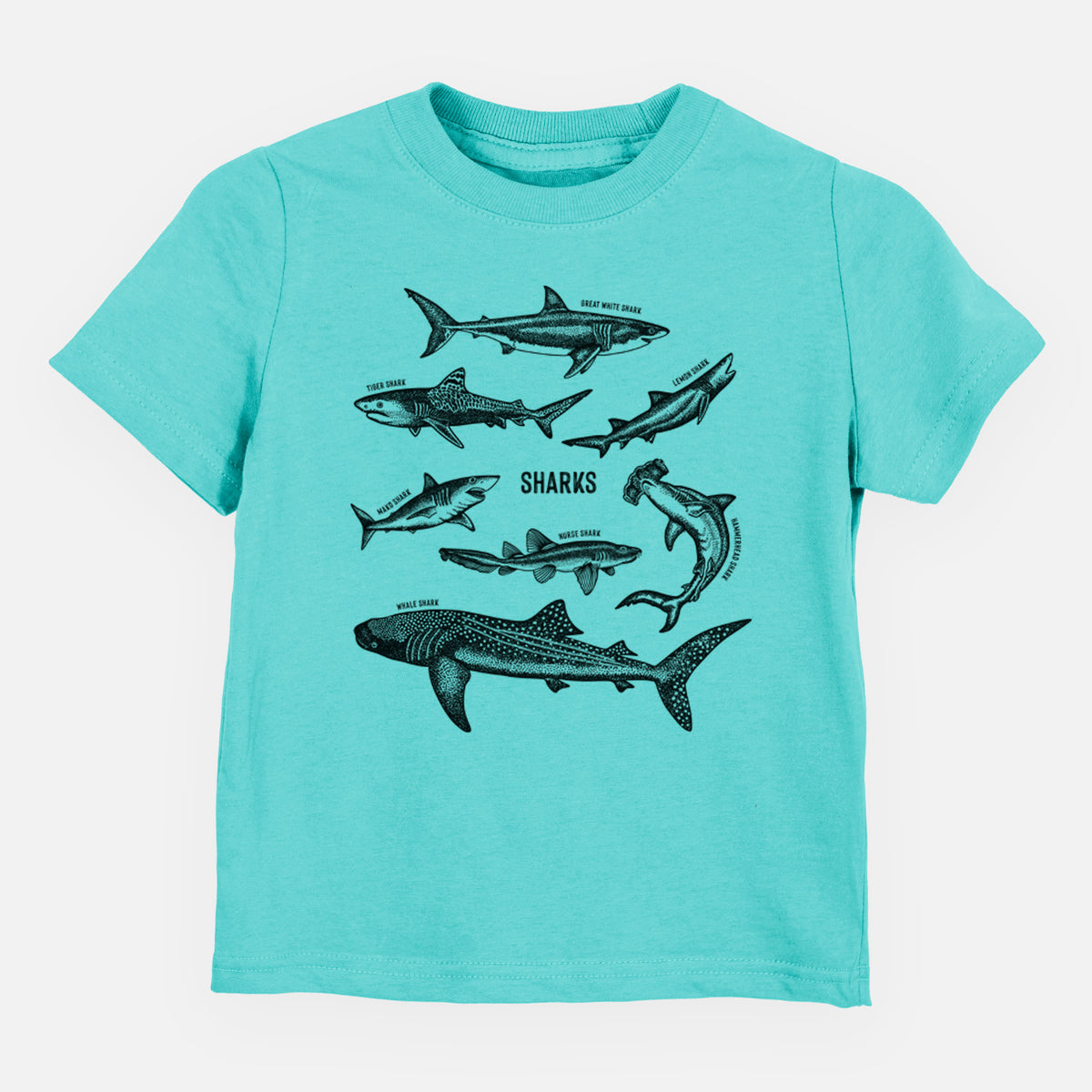 Caribbean blue toddler t-shirt laid flat, printed with a chart of black ink shark illustrations, including a whale shark, hammerhead and great white.