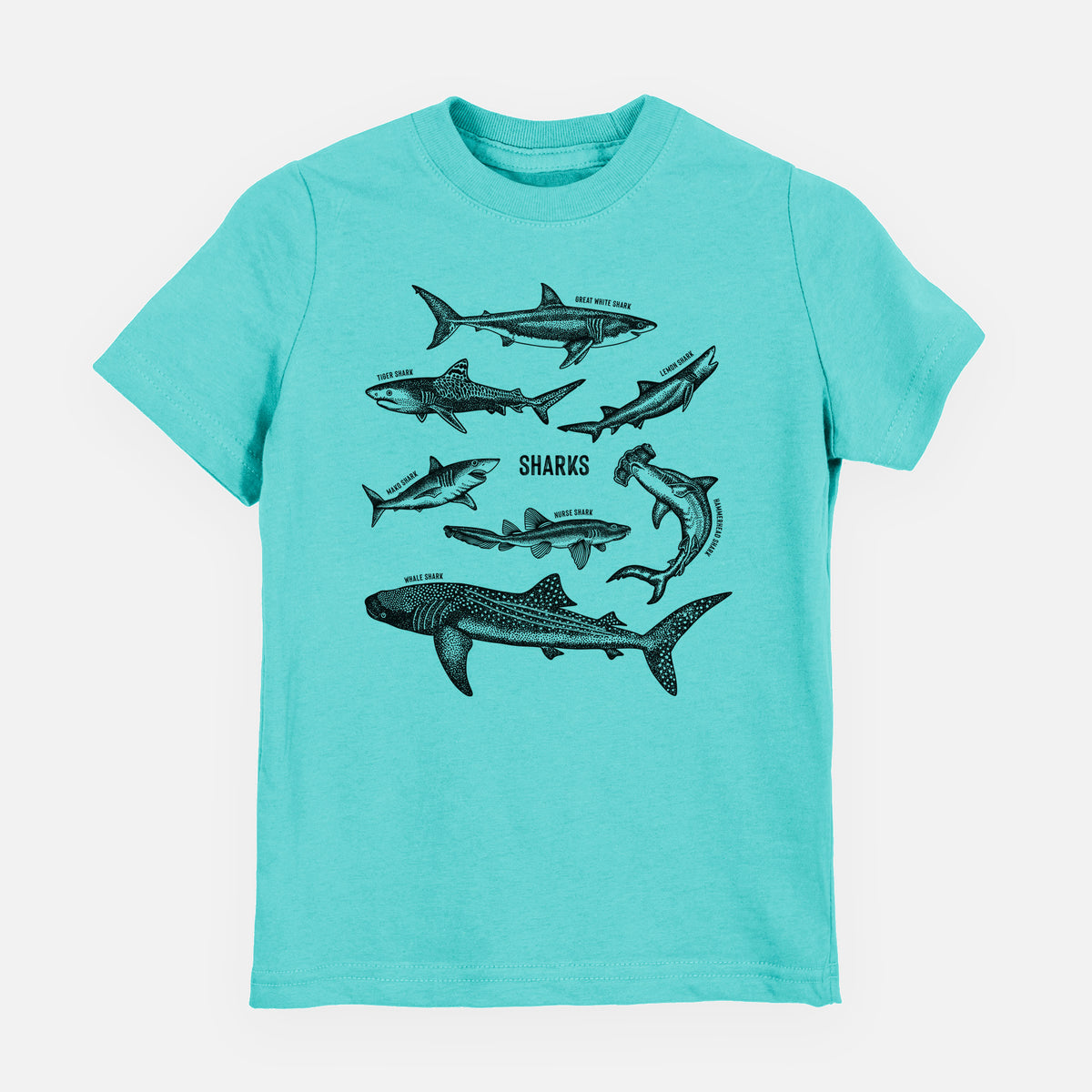 Caribbean blue youth t-shirt laid flat, printed with a chart of black ink shark illustrations, including a whale shark, hammerhead and great white.