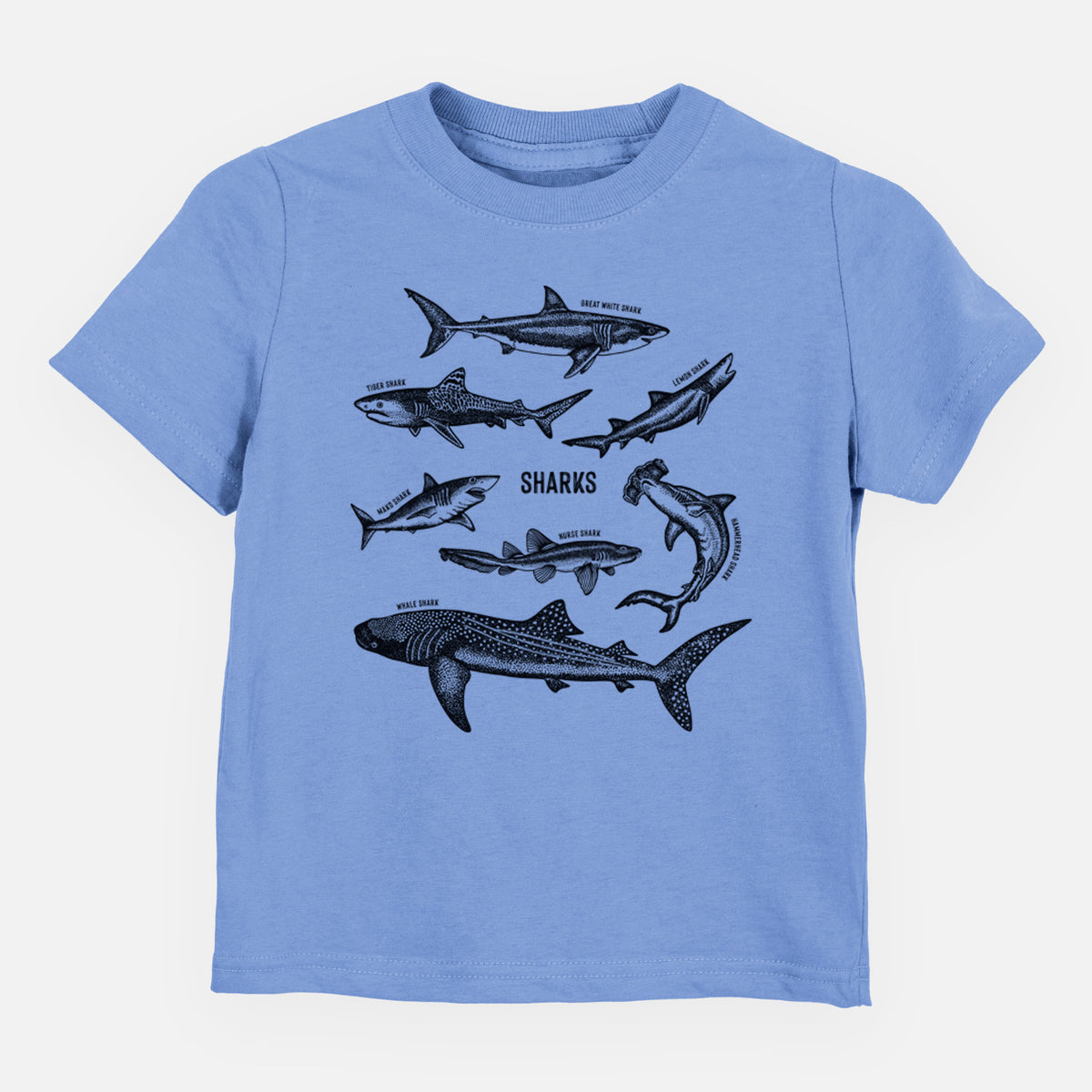 Carolina blue toddler t-shirt laid flat, printed with a chart of black ink shark illustrations, including a whale shark, hammerhead and great white.