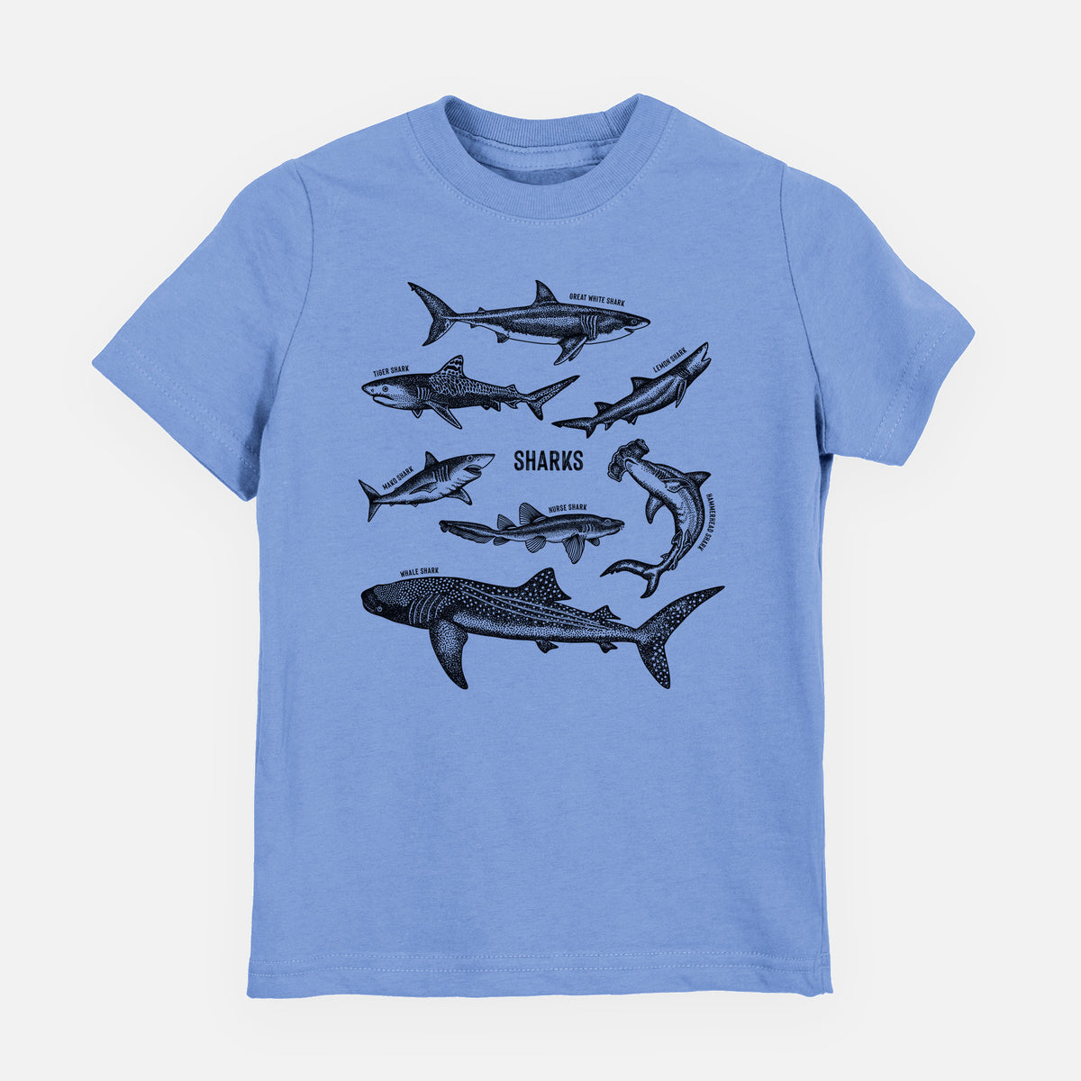 Carolina blue youth t-shirt laid flat, printed with a chart of black ink shark illustrations, including a whale shark, hammerhead and great white.