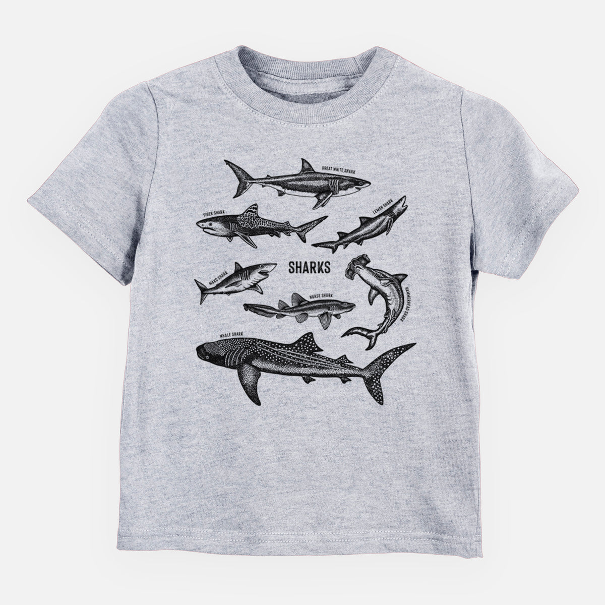 Heather grey toddler t-shirt laid flat, printed with a chart of black ink shark illustrations, including a whale shark, hammerhead and great white.