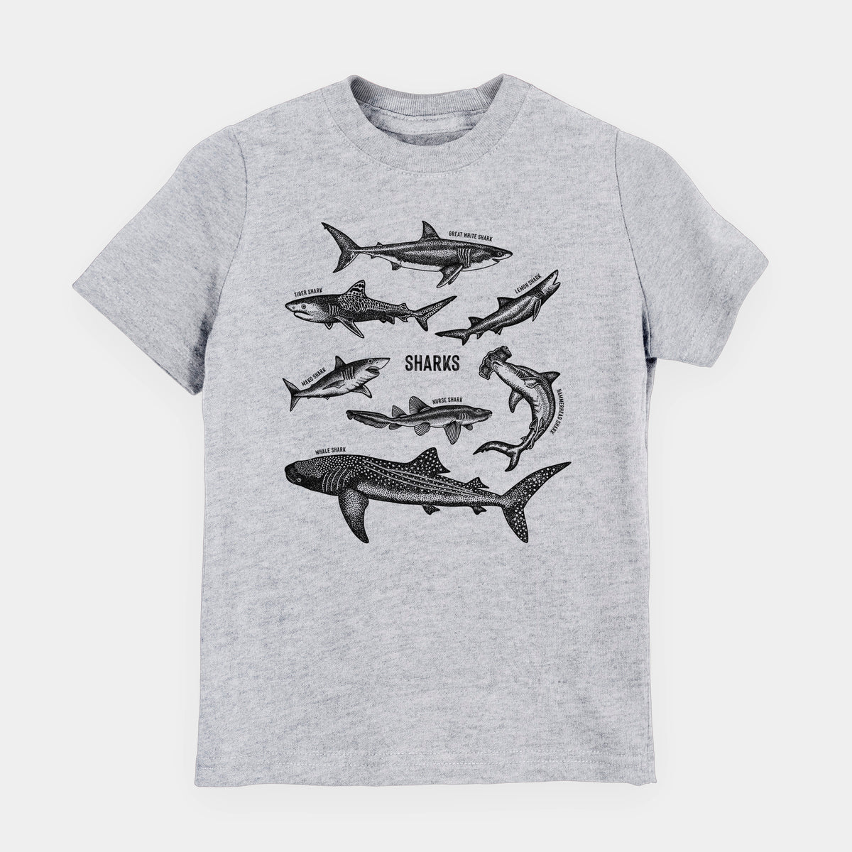 Heather grey youth t-shirt laid flat, printed with a chart of black ink shark illustrations, including a whale shark, hammerhead and great white.