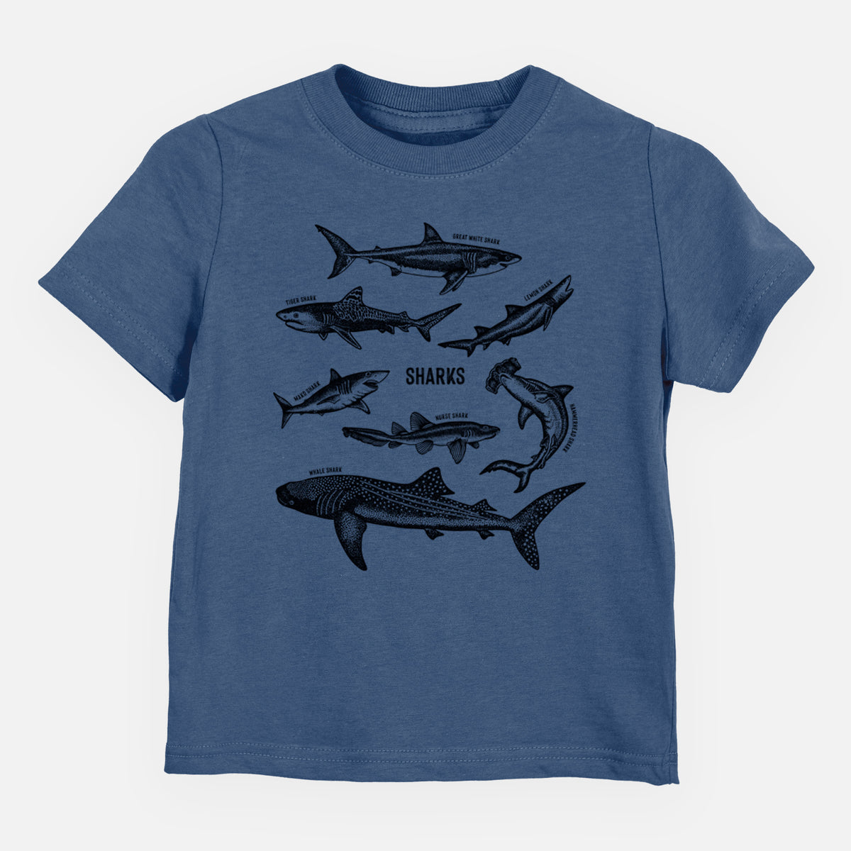 Indigo blue toddler t-shirt laid flat, printed with a chart of black ink shark illustrations, including a whale shark, hammerhead and great white.