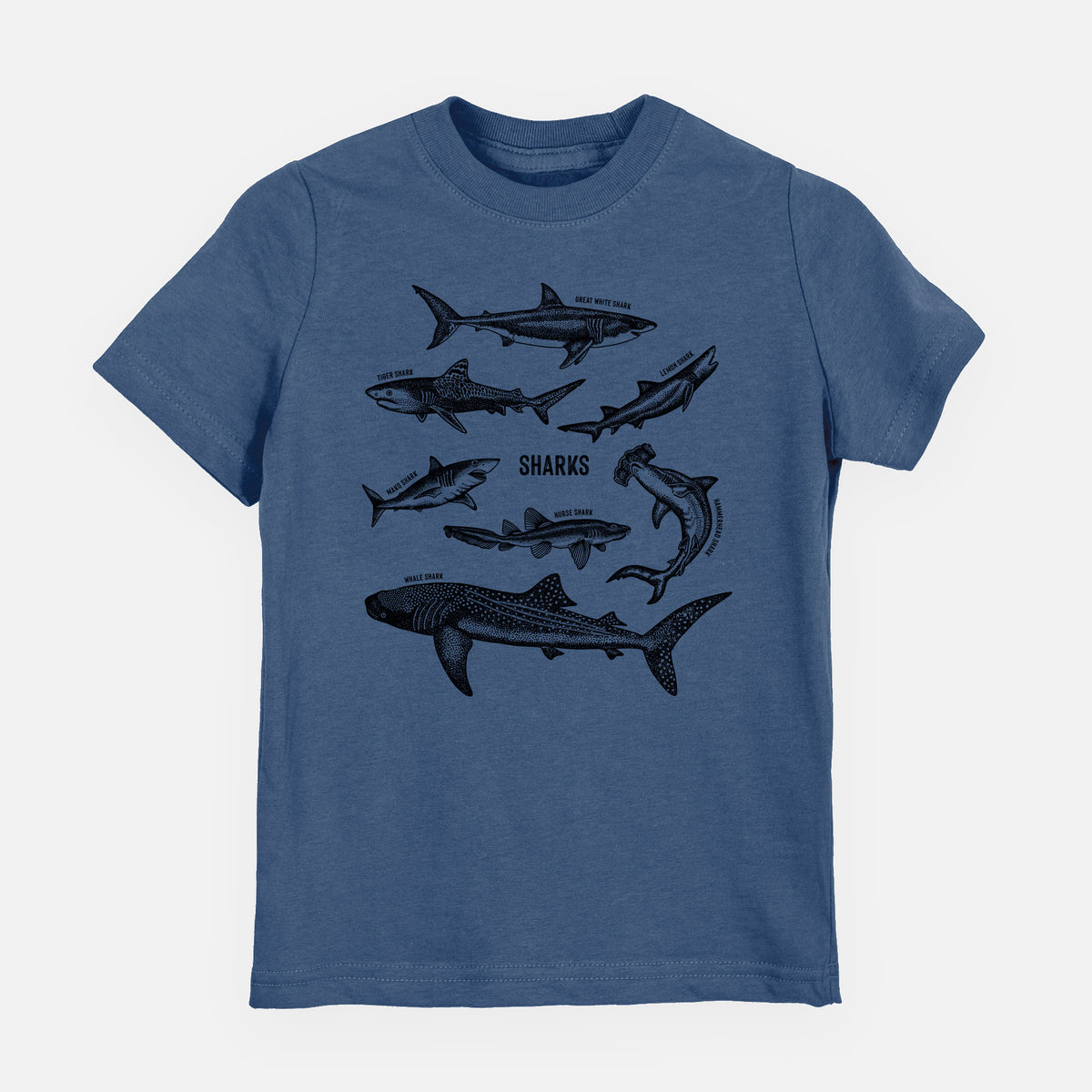 Indigo blue youth t-shirt laid flat, printed with a chart of black ink shark illustrations, including a whale shark, hammerhead and great white.