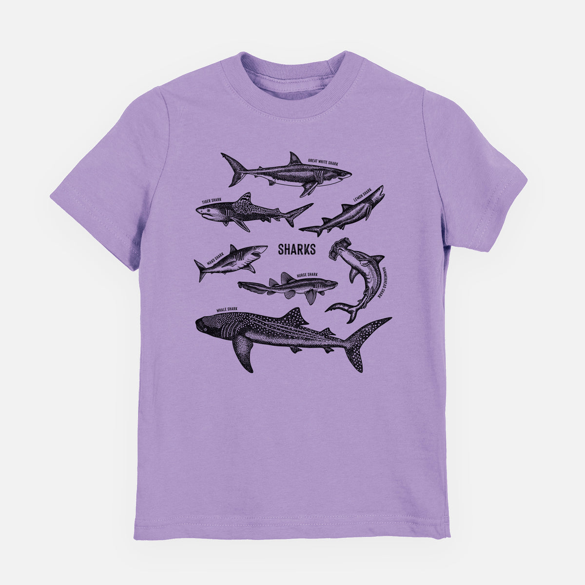 Lavender youth t-shirt laid flat, printed with a chart of black ink shark illustrations, including a whale shark, hammerhead and great white.