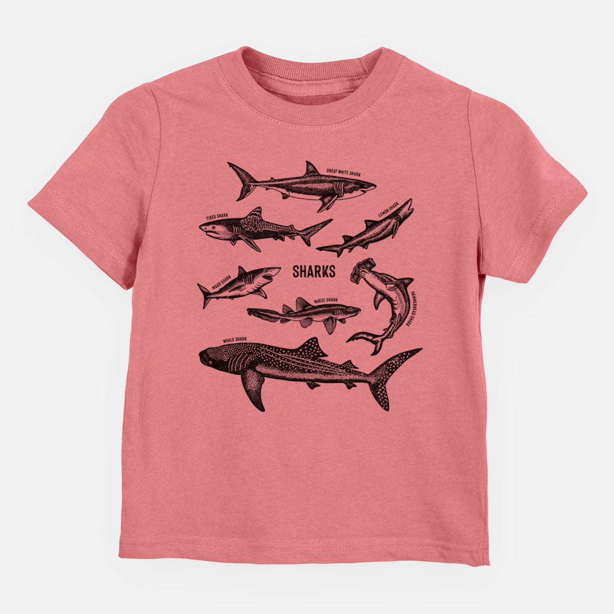 Mauve pink toddler t-shirt laid flat, printed with a chart of black ink shark illustrations, including a whale shark, hammerhead and great white.