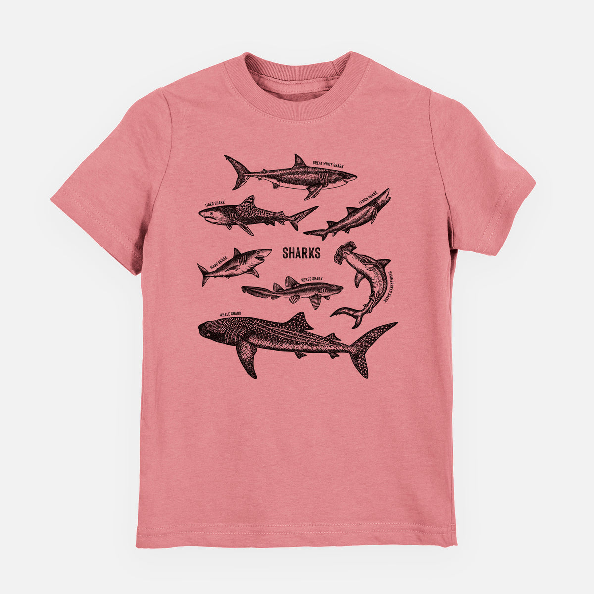 Mauve pink youth t-shirt laid flat, printed with a chart of black ink shark illustrations, including a whale shark, hammerhead and great white.