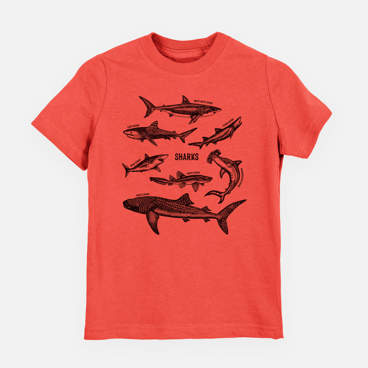 Passionfruit pink youth t-shirt laid flat, printed with a chart of black ink shark illustrations, including a whale shark, hammerhead and great white.