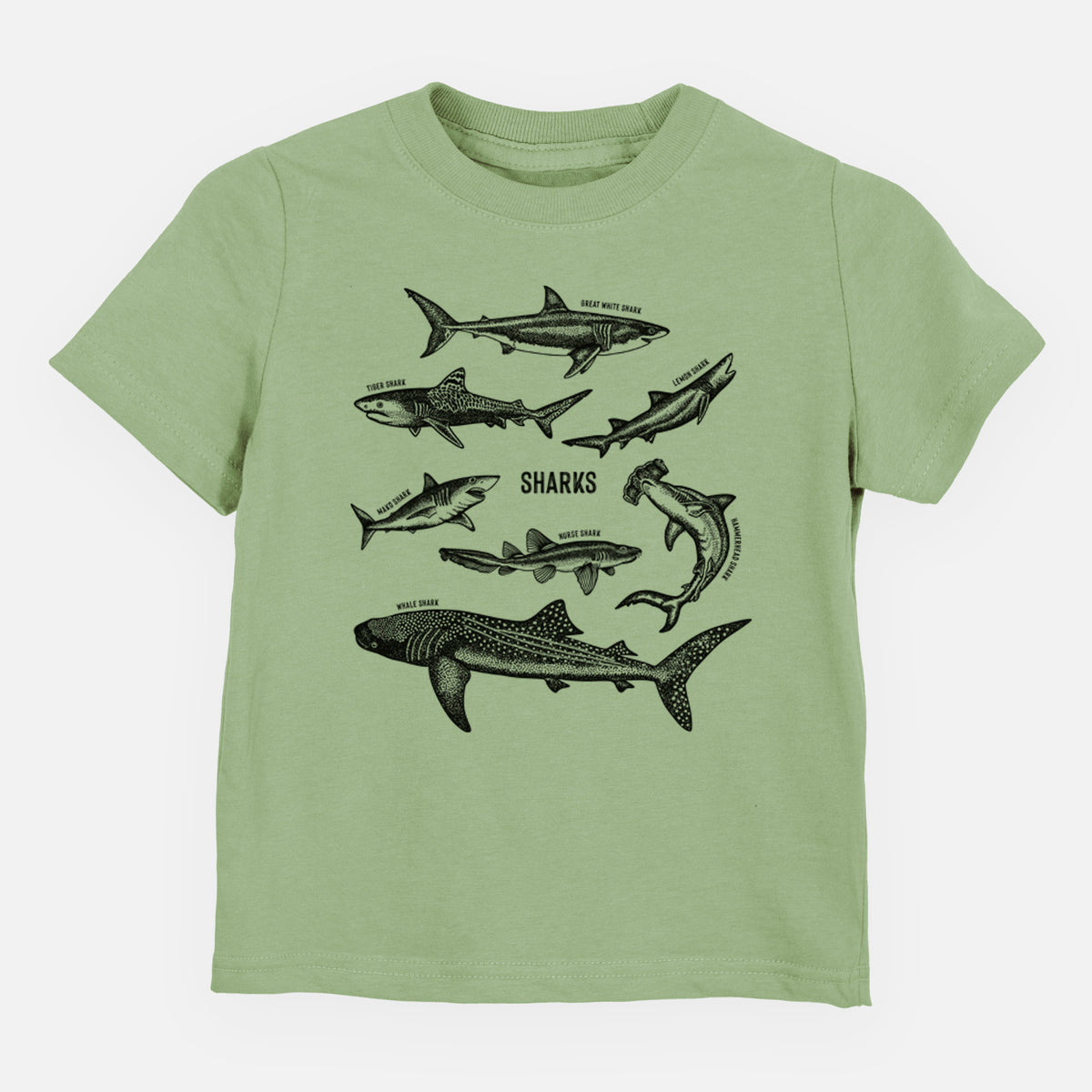Sage green toddler t-shirt laid flat, printed with a chart of black ink shark illustrations, including a whale shark, hammerhead and great white.