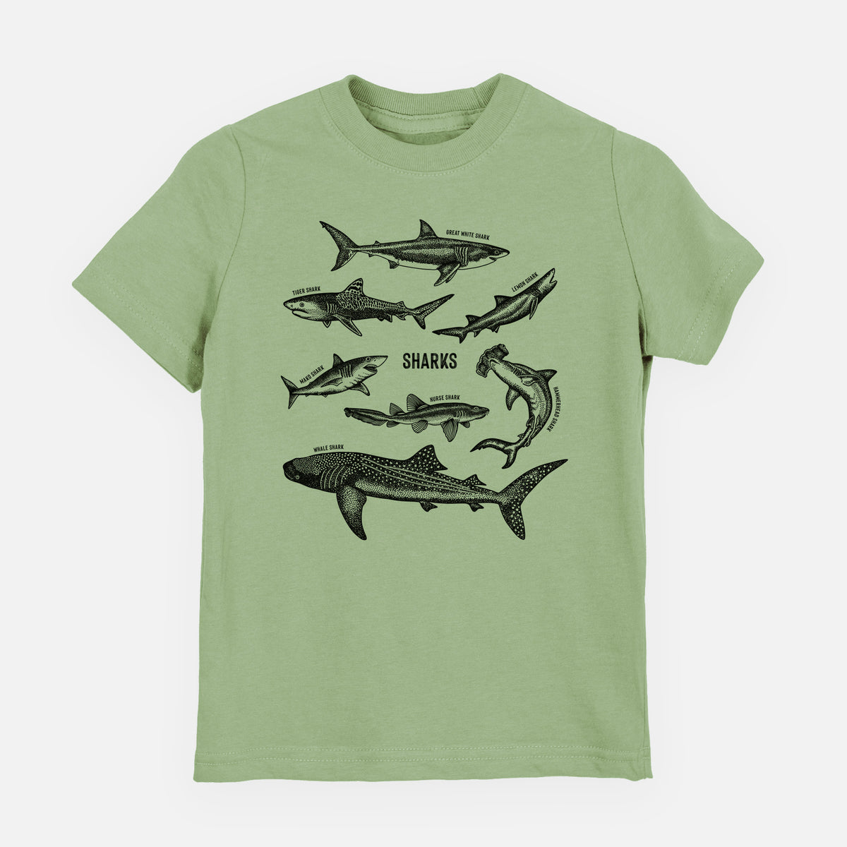 Sage green youth t-shirt laid flat, printed with a chart of black ink shark illustrations, including a whale shark, hammerhead and great white.