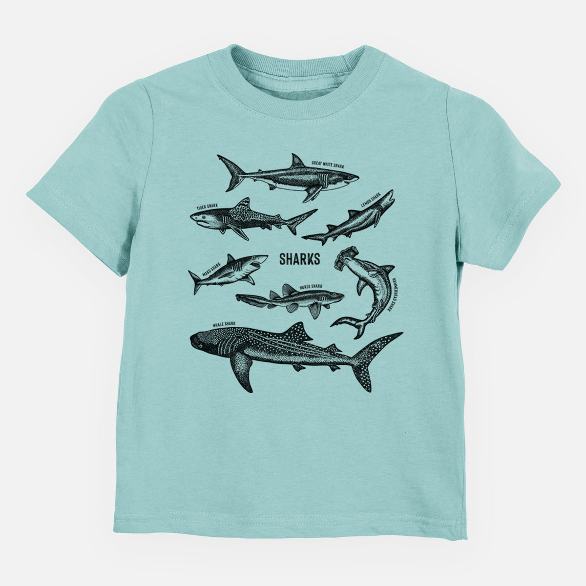 Saltwater toddler t-shirt laid flat, printed with a chart of black ink shark illustrations, including a whale shark, hammerhead and great white.