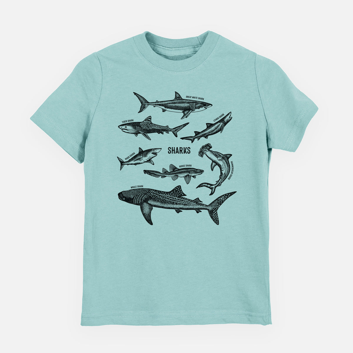 Saltwater youth t-shirt laid flat, printed with a chart of black ink shark illustrations, including a whale shark, hammerhead and great white.