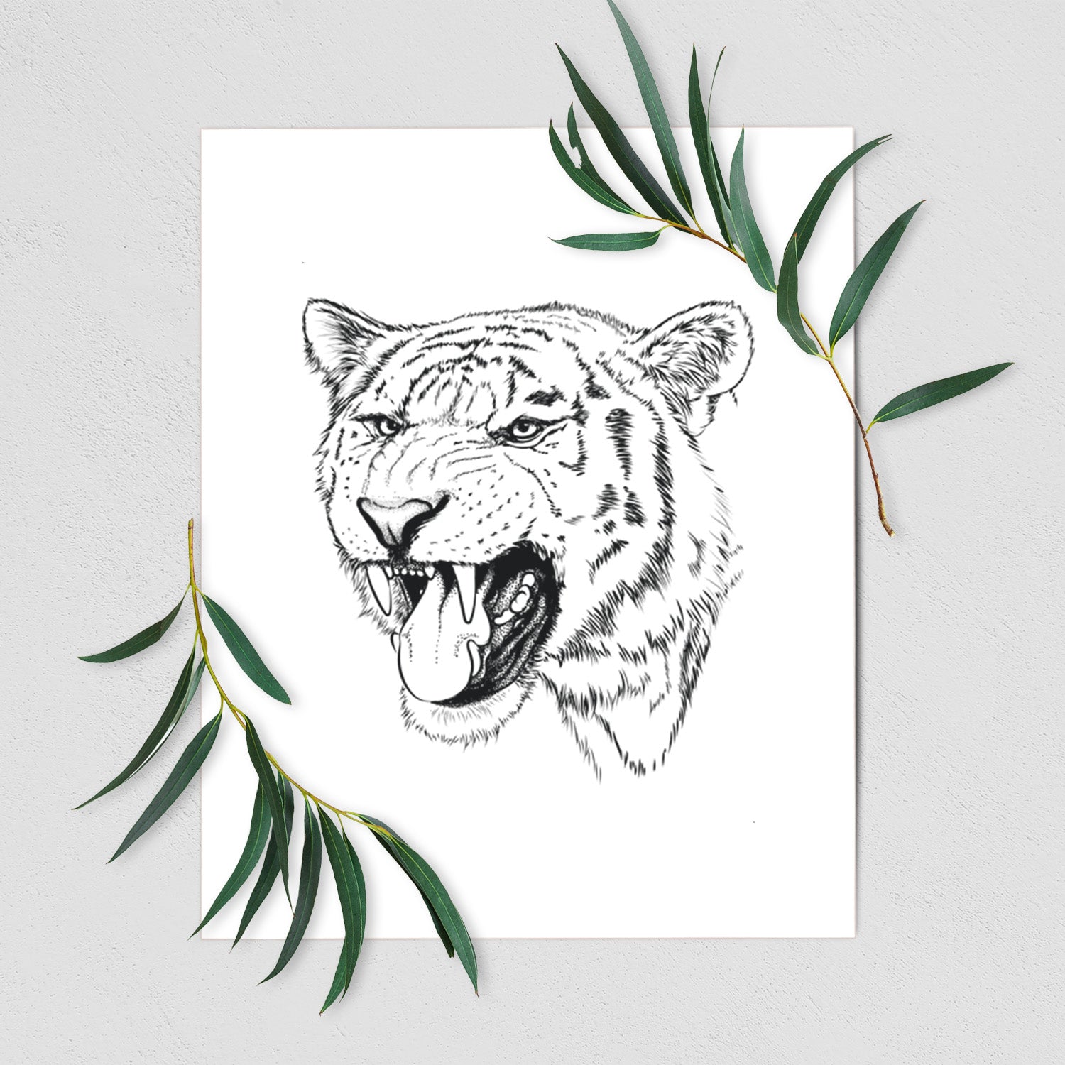Art print of a detailed black ink portrait of a roaring Siberian tiger, shown with eucalyptus leaves.
