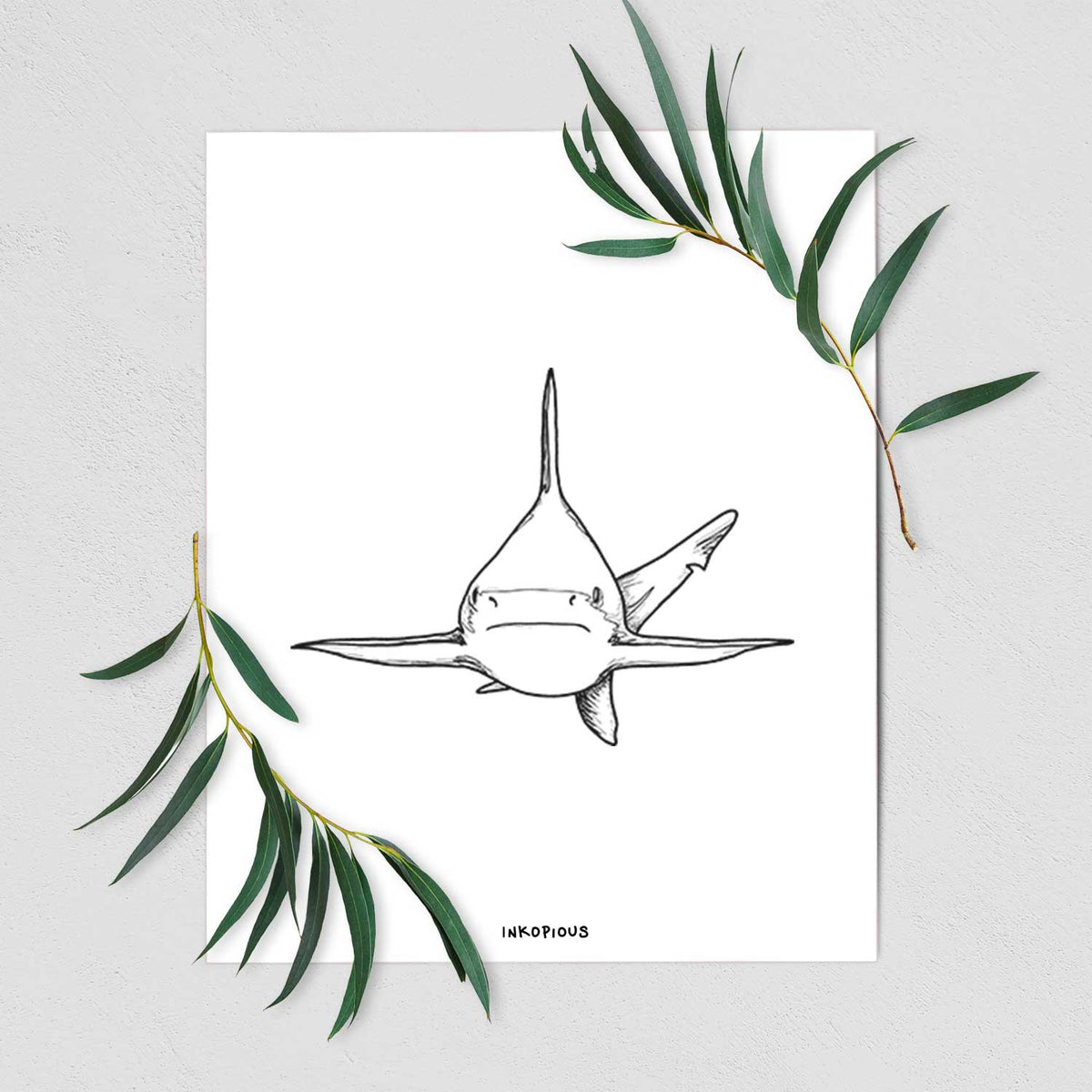 Art print of a black ink illustration of a silvertip shark swimming head-on, shown with eucalyptus leaves.