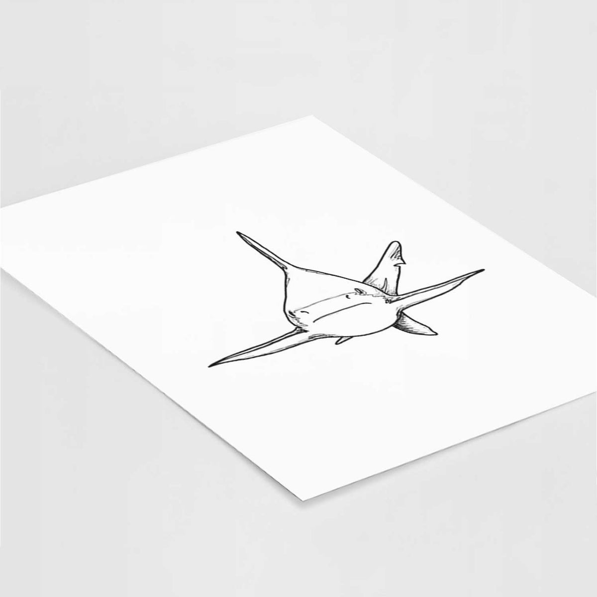 Art print of a black ink illustration of a silvertip shark swimming head-on, lying at an angle on a white surface.