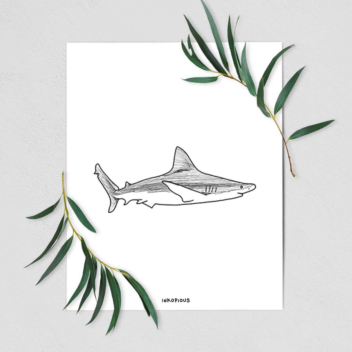 Art print of a black ink illustration of a silvertip shark swimming in profile, shown with eucalyptus leaves.