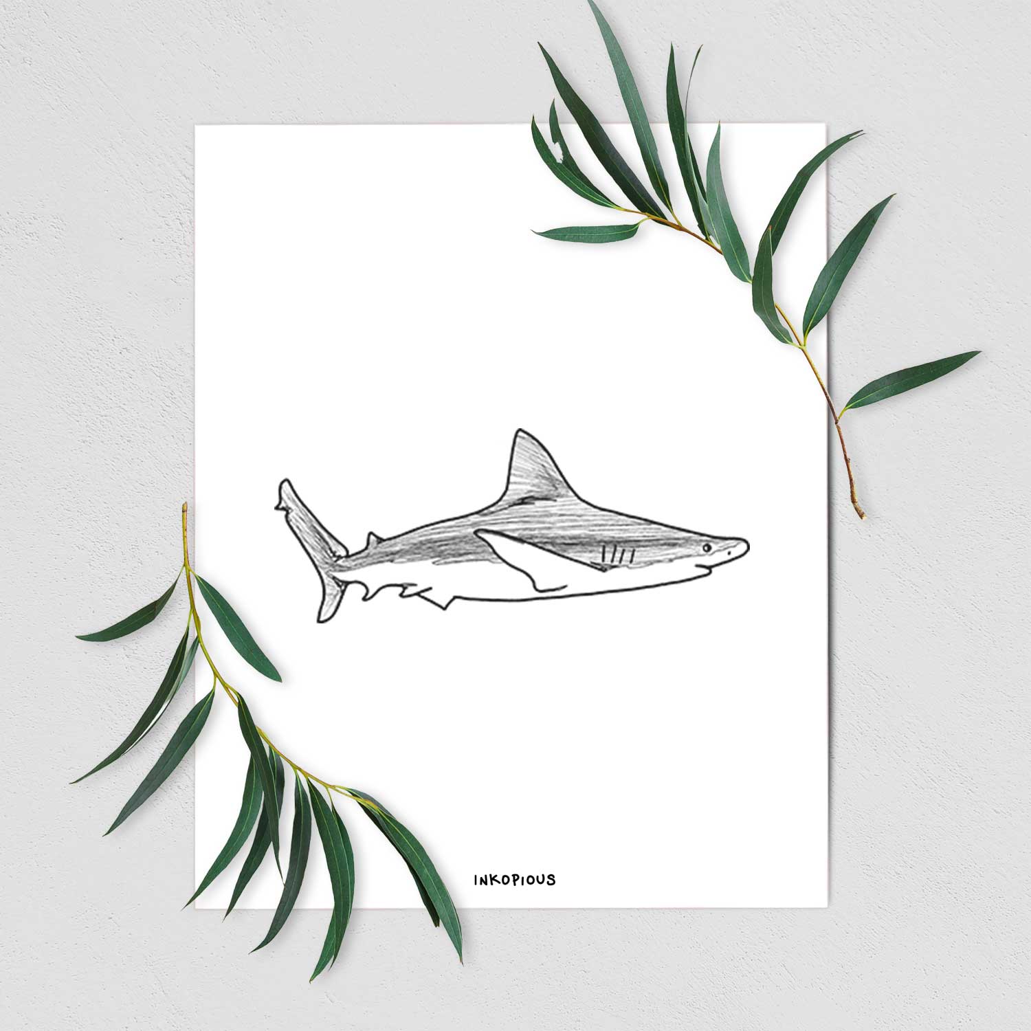 Art print of a black ink illustration of a silvertip shark swimming in profile, shown with eucalyptus leaves.