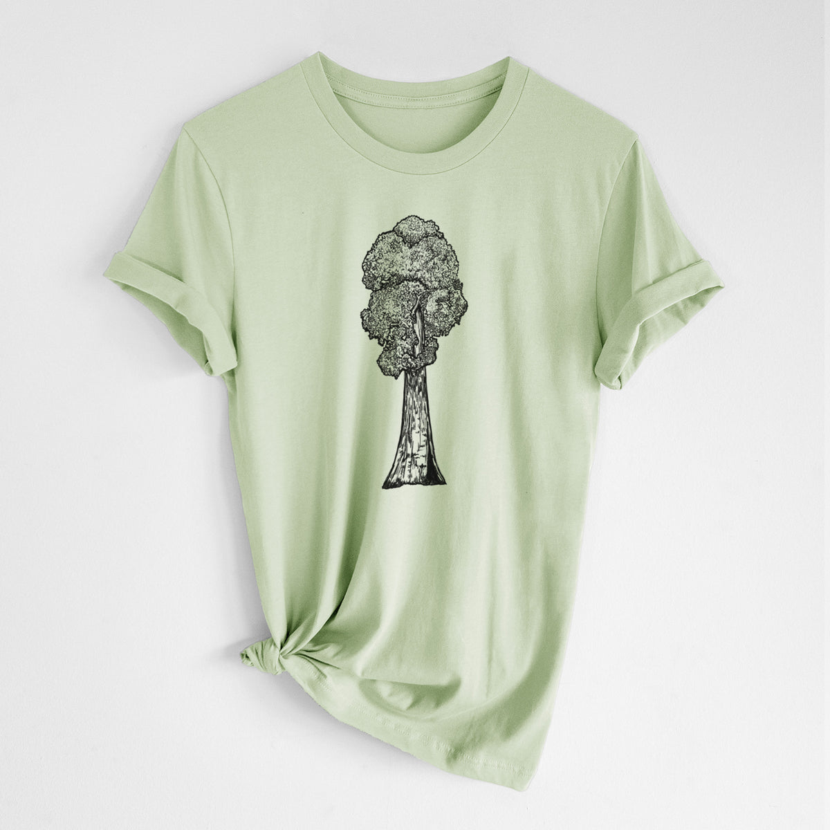 Spring green lightweight cotton t-shirt laid flat with the sleeves rolled, printed with a black ink illustration of a single giant sequoia tree.