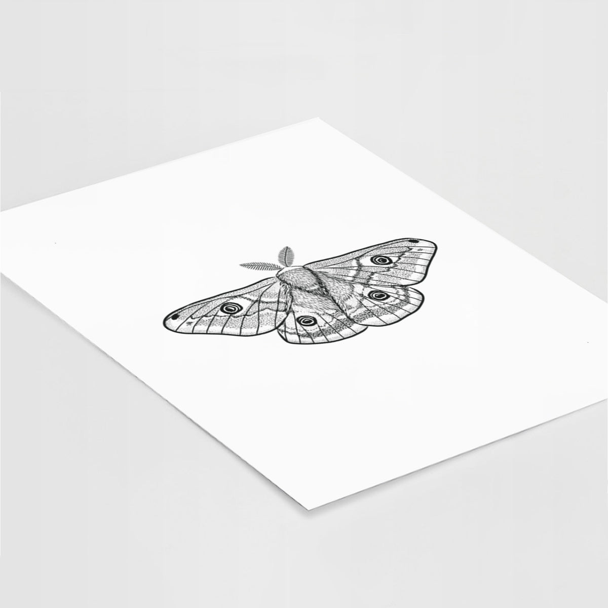 Art print of a detailed black ink illustration of a small emperor moth with eyespots on its wings, lying at an angle on a white surface.