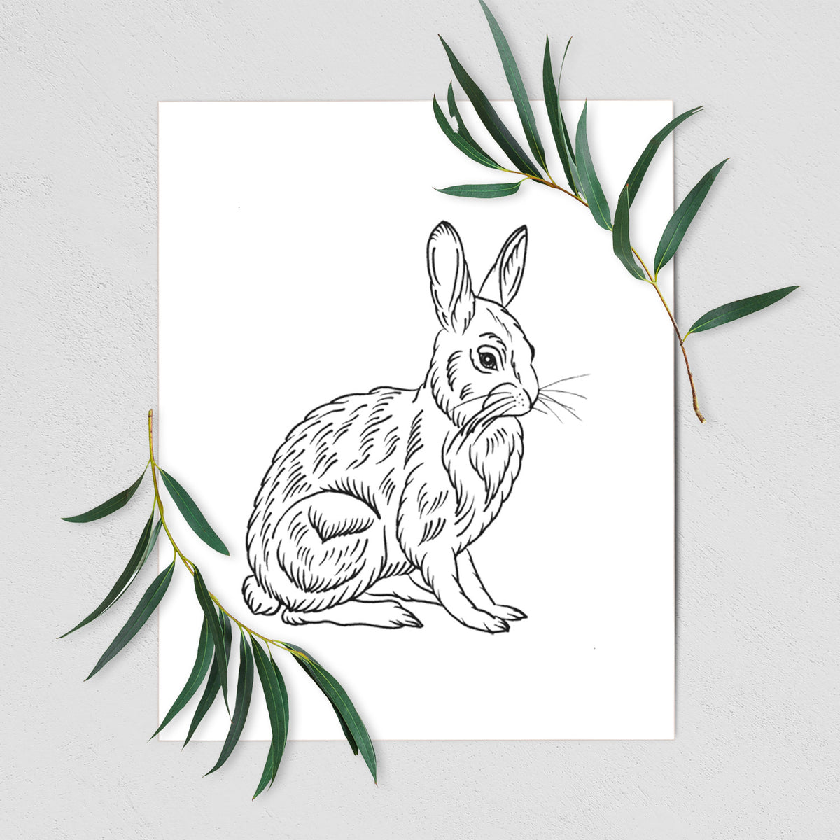 Art print of a detailed black ink illustration of a snowshoe hare sitting upright, shown with eucalyptus leaves.