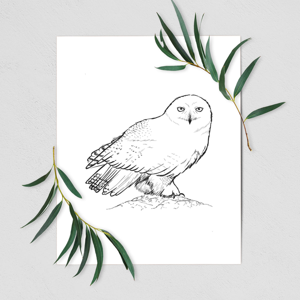 Art print of a detailed black ink illustration of a snowy owl perched on a snowy mound, shown with eucalyptus leaves.