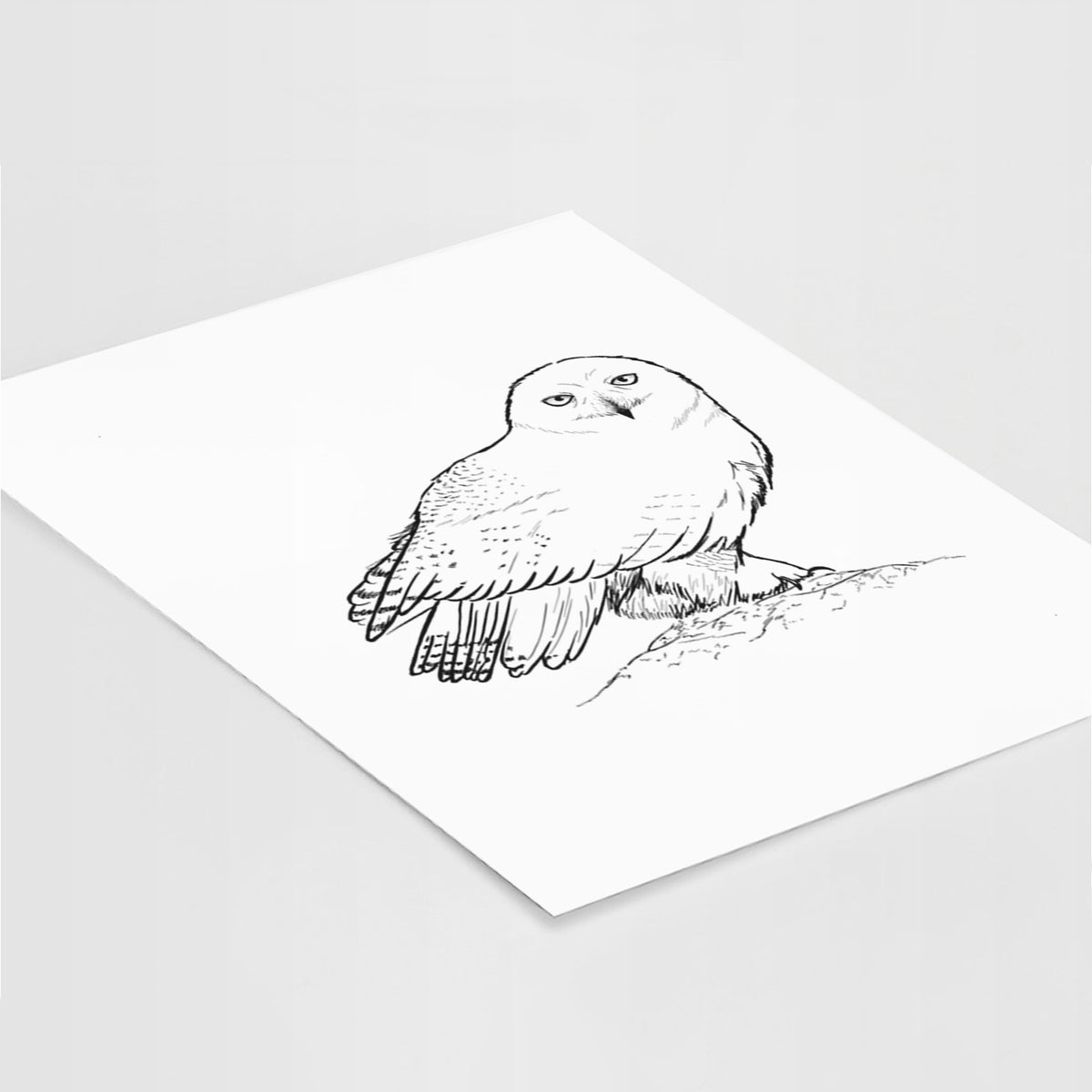 Art print of a detailed black ink illustration of a snowy owl perched on a snowy mound, lying at an angle on a white surface.