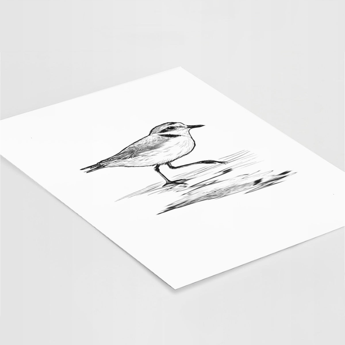 Art print of a black ink sketch of a snowy plover running along the wet shoreline, lying at an angle on a white surface.