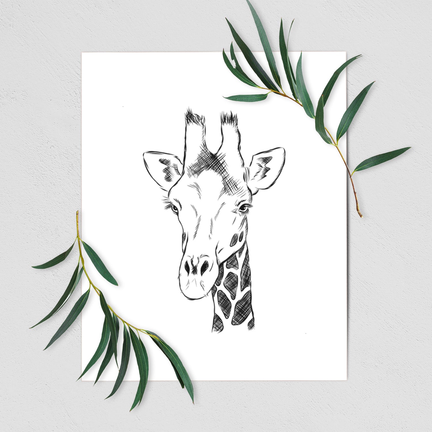 Art print of a black ink portrait of a southern giraffe's head and neck, shown with eucalyptus leaves.