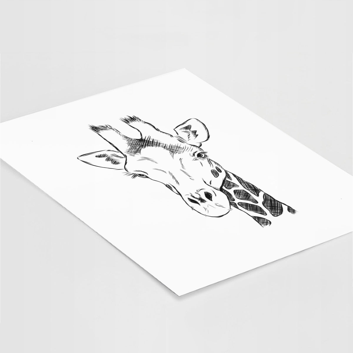Art print of a black ink portrait of a southern giraffe's head and neck, lying at an angle on a white surface.