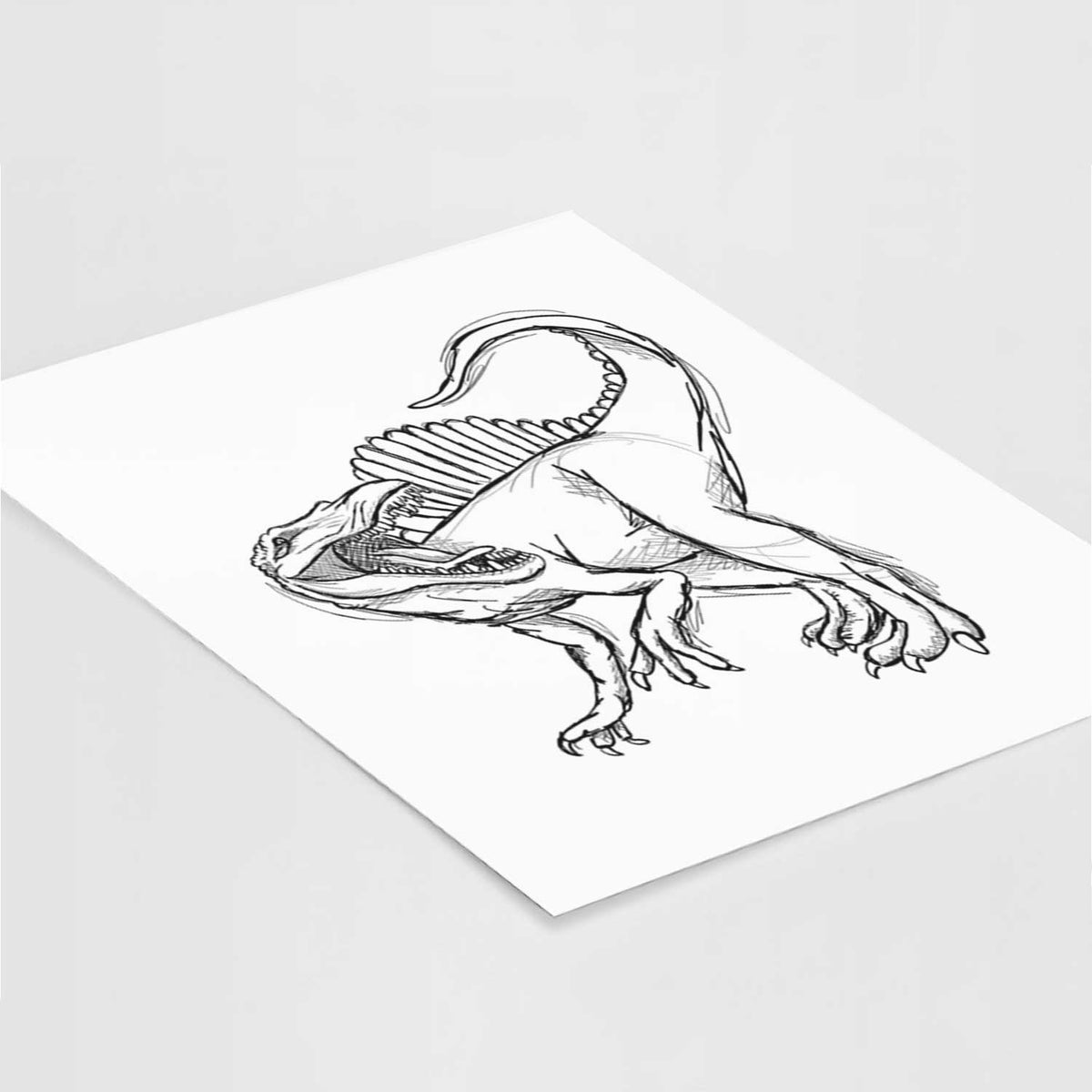 Art print of a black ink illustration of a Spinosaurus with its tall sail-shaped back, lying at an angle on a white surface.