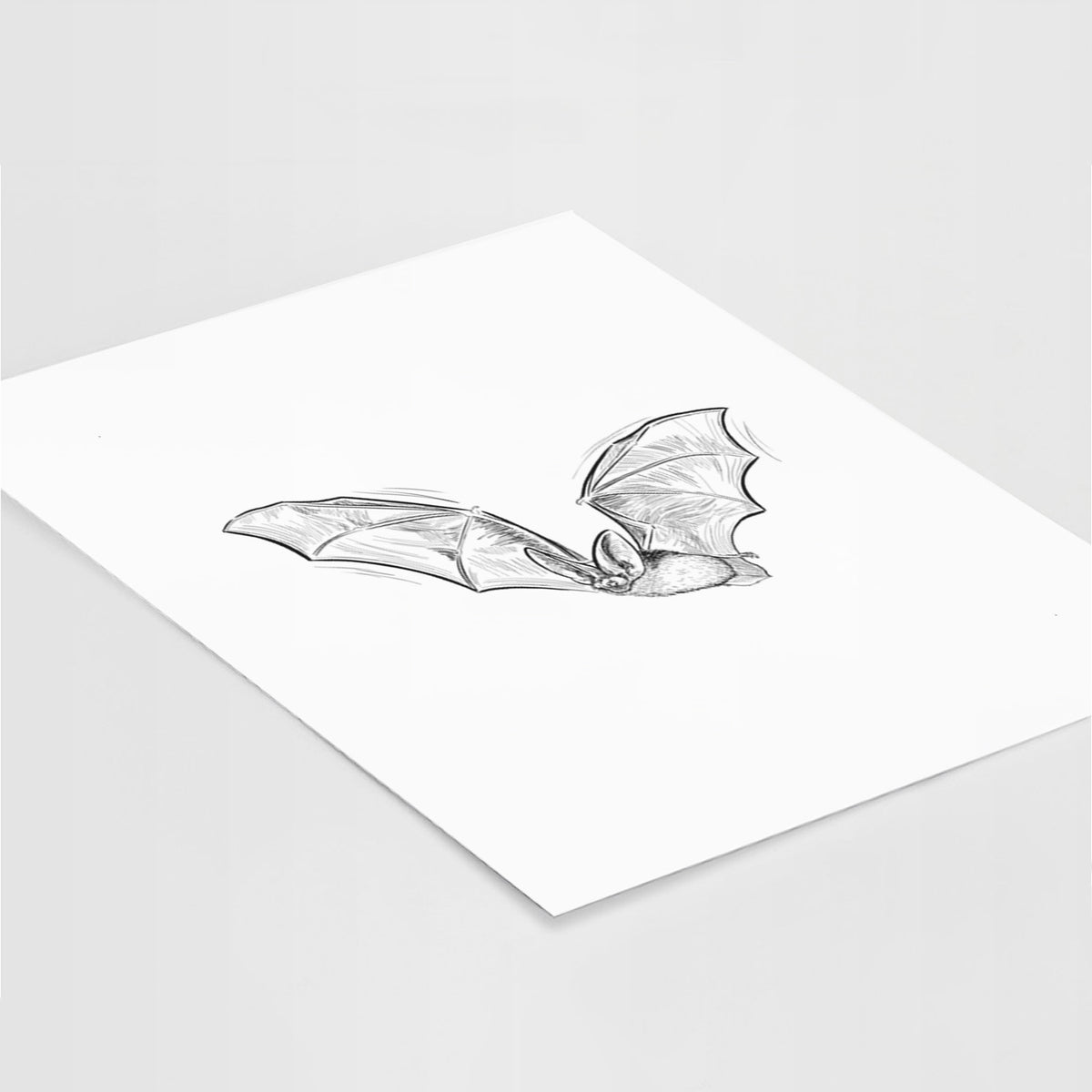 Art print of a black ink illustration of a spotted bat in flight with large ears, lying at an angle on a white surface.