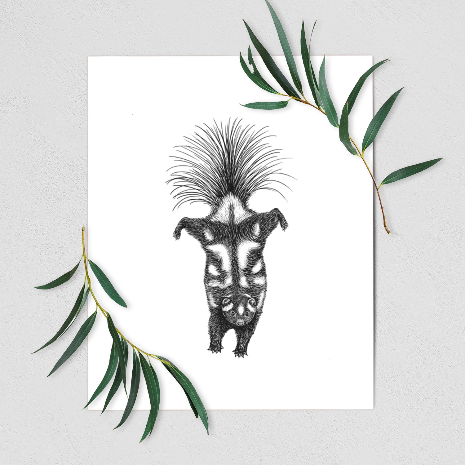 Art print of a black ink illustration of a spotted skunk doing a handstand with its tail fanned, shown with eucalyptus leaves.