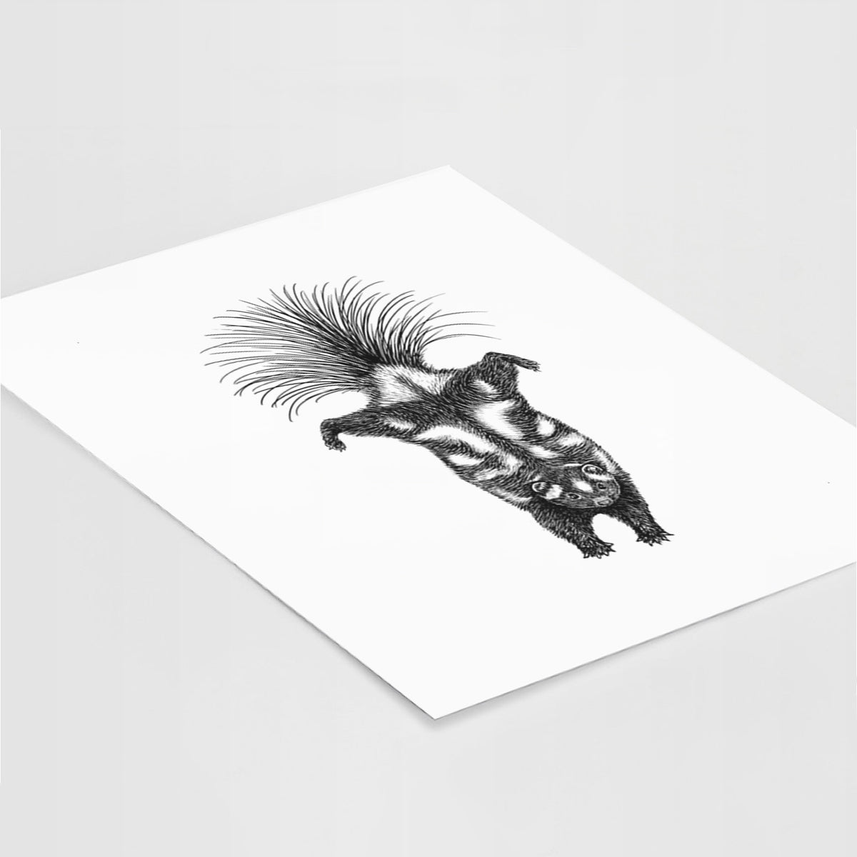 Art print of a black ink illustration of a spotted skunk doing a handstand with its tail fanned, lying at an angle on a white surface.